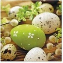 PAW servítky L Eggs among Catkins 33X33cm