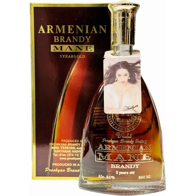 Proshyan Mane 5y 40% 0,5 l (karton)