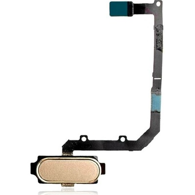 Home button Flex Samsung Galaxy A9 Pro (A910 / 2016) – zlaté SAM1173