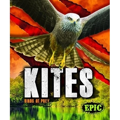 Kites: Birds of Prey Sommer NathanPevná vazba