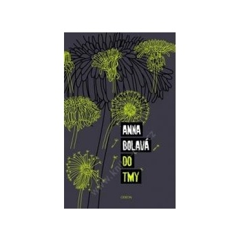 Do tmy Anna Bolavá