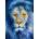 Enjoy - Puzzle Starry Lion - 1 000 piese
