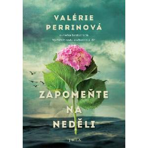 Zapomeňte na neděli | Valérie Perrinová (ISBN: 9788076892750)