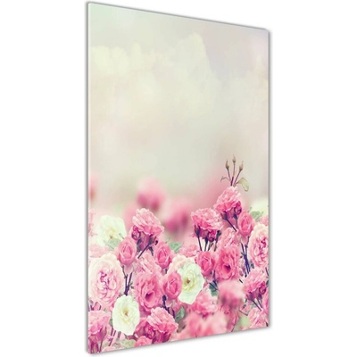 Vertikálny foto obraz sklo tvrdené Divoká ruža 50x100 cm