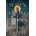 When Among Crows - Veronica Roth