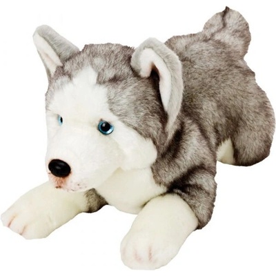 SUKI plusz Plyšový pes Husky