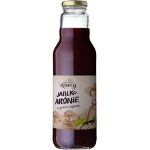 Ovocný mošt Moštárna Louny Jablko Arónie 750 ml