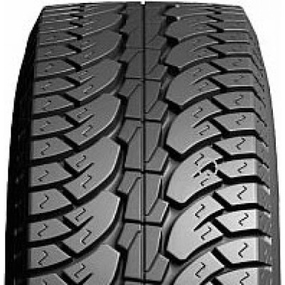 Evergreen ES89 31/10,5 R15 109R