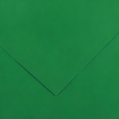Canson Vivaldi A3 Moss Green 30 185 g Цветна хартия (C200040209)