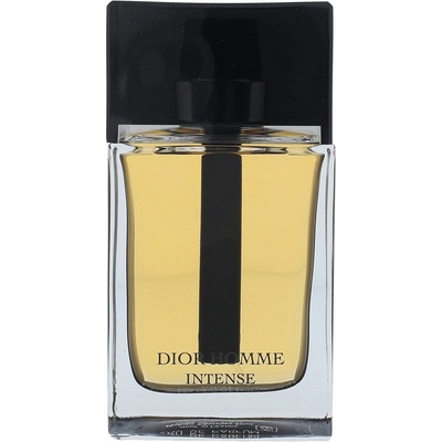 Christian Dior Intense 2011 parfémovaná voda pánská 100 ml