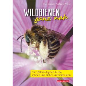 Wildbienen ganz nah | Wolfgang Willner (ISBN: 9783494018706)