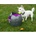 PetSafe automatický vrhač míčků