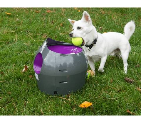 PetSafe automatický vrhač míčků