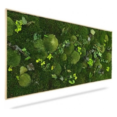 Machový obraz RASTLINY Mesia, 100x50cm, drevený čierny rám