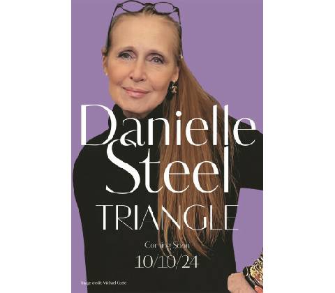 Triangle - Steel Danielle