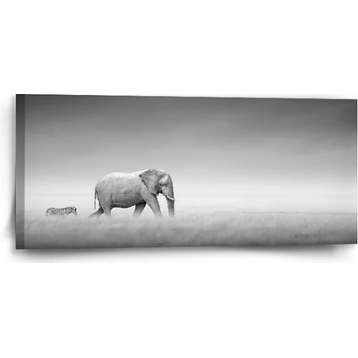 Sablio Obraz Slon a zebra - 110x50 cm