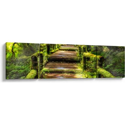 Obraz schodů v deštném pralese, třídílný 170x50 cm