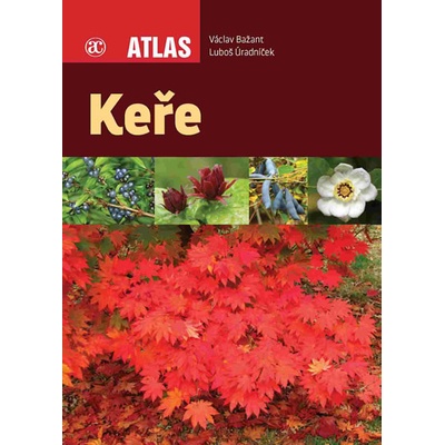 Keře - Atlas