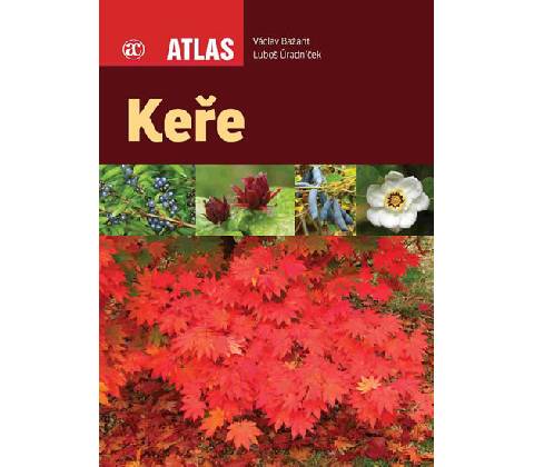 Keře - Atlas