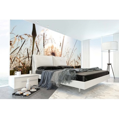 DIMEX ART Самозалепваща се флизелинова фототапета лятно глухарче 375 x 250 см