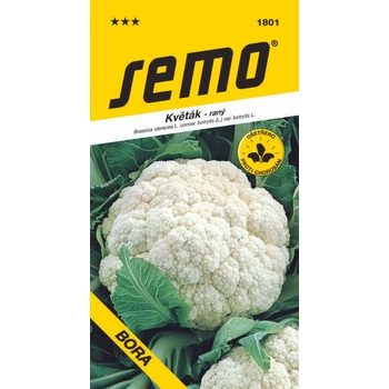 SEMO KARFIOL BORA