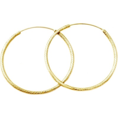 Beneto náušnice AGUC1240/N-GOLD Pozlátené strieborné náušnice kruhy