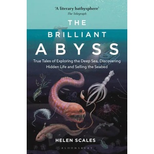 Brilliant Abyss (ISBN: 9781472966889)
