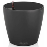 Lechuza Classico Color 43 (13244)