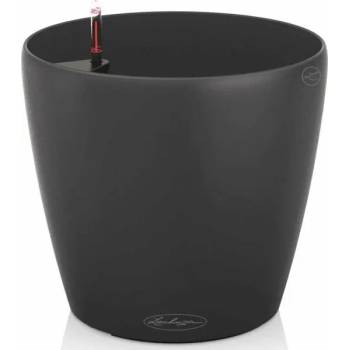 Image 1 of Lechuza Classico Color 43 (13244)