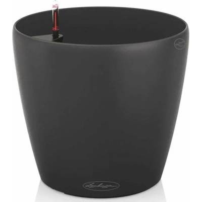 Lechuza Classico Color 43 (13244)