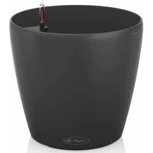 Lechuza Classico Color 43 (13244)