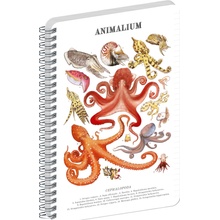 NOTIQUE Špirálový blok Animalium Hlavonožce linajkovaný A5