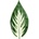 Umelý list Hosta 50 cm