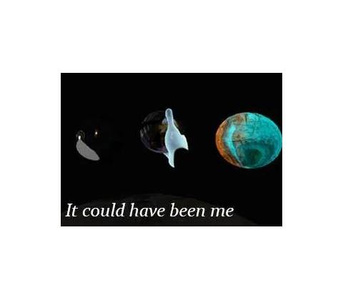 It Could Have Been Me