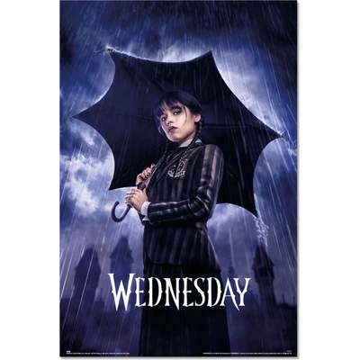 NNM постер wednesday - umbrella - gpe5735