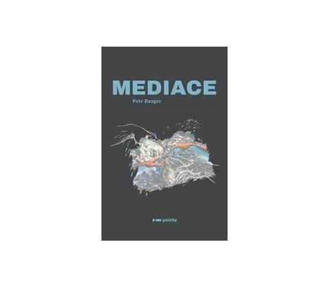 Mediace - Petr Bazger