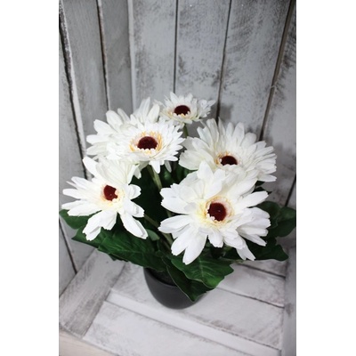 Piskáček Gerbera v květináči Barva: Bílá