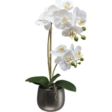 Gasper Gasper Orchidea v keramickom kvetináči, 48 cm, biela