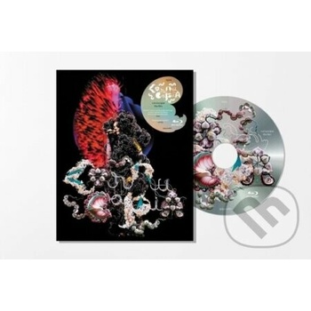 BD Bjork - Cornucopia: Live