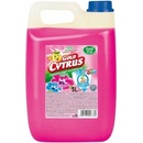 Gold drop Gold Cytrus Wixx na riad Grep/Forest Fruit 5 l