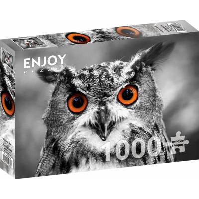 Enjoy Curious Owl 1000 dielov