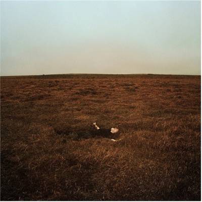 Fink: The City Is Coming to Erase It All LP