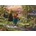 Schmidt Spiele - Puzzle Thomas Kinkade: Disney: Merida - 1 000 piese
