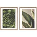 Styler Печатни картини в комплект 2 бр. с включена рамка 30x40 cm Beauty Green - Styler (OB-14951)