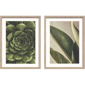 Styler Печатни картини в комплект 2 бр. с включена рамка 30x40 cm Beauty Green - Styler (OB-14951)