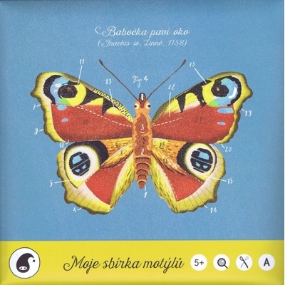 Moje sbírka motýlů - Jitka Musilová