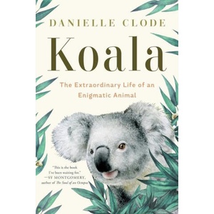 Koala: The Extraordinary Life of an Enigmatic Animal | Clode, Danielle (2024)