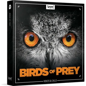 BOOM Library Birds of Prey