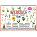 Kupka Petr Súbor 24 kariet - kvetiny