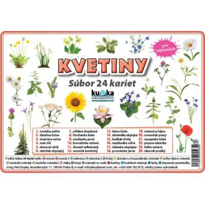 Kupka Petr Súbor 24 kariet - kvetiny